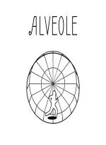 Alveole (Xbox Series X|S) (Xbox Games US)