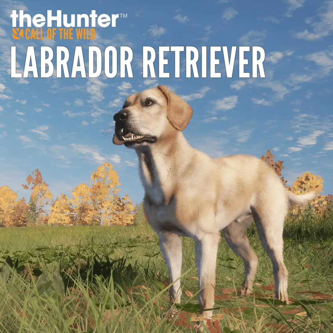 theHunter: Call of the Wild™ - Labrador Retriever (Xbox Games US)