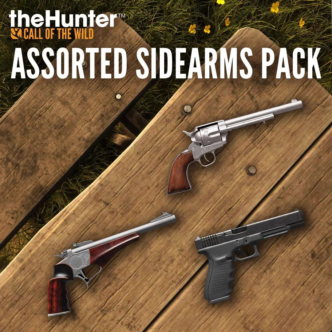 theHunter Call of the Wild™ - Assorted Sidearms Pack (Xbox Games BR)