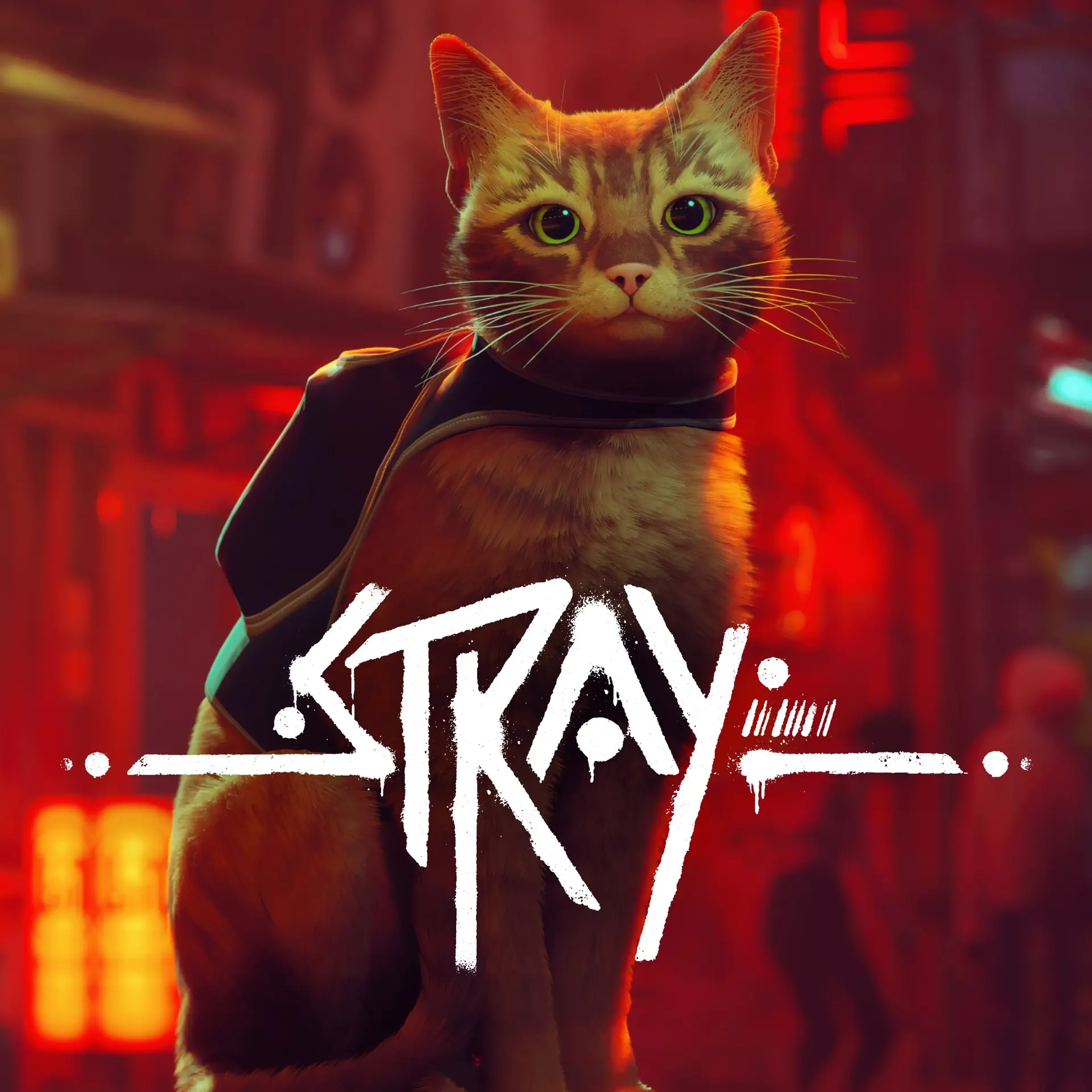 Stray (Xbox Game EU)