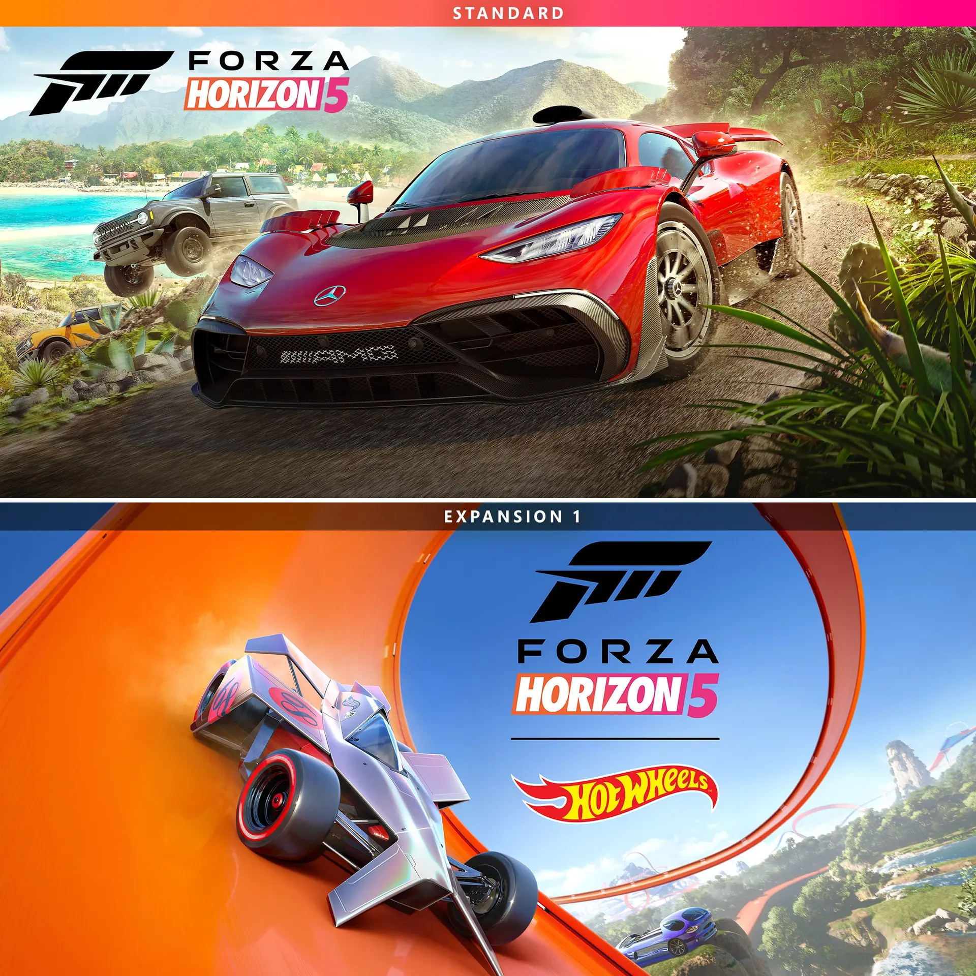 Forza Horizon 5 PLUS Hot Wheels Bundle (Xbox Games TR)