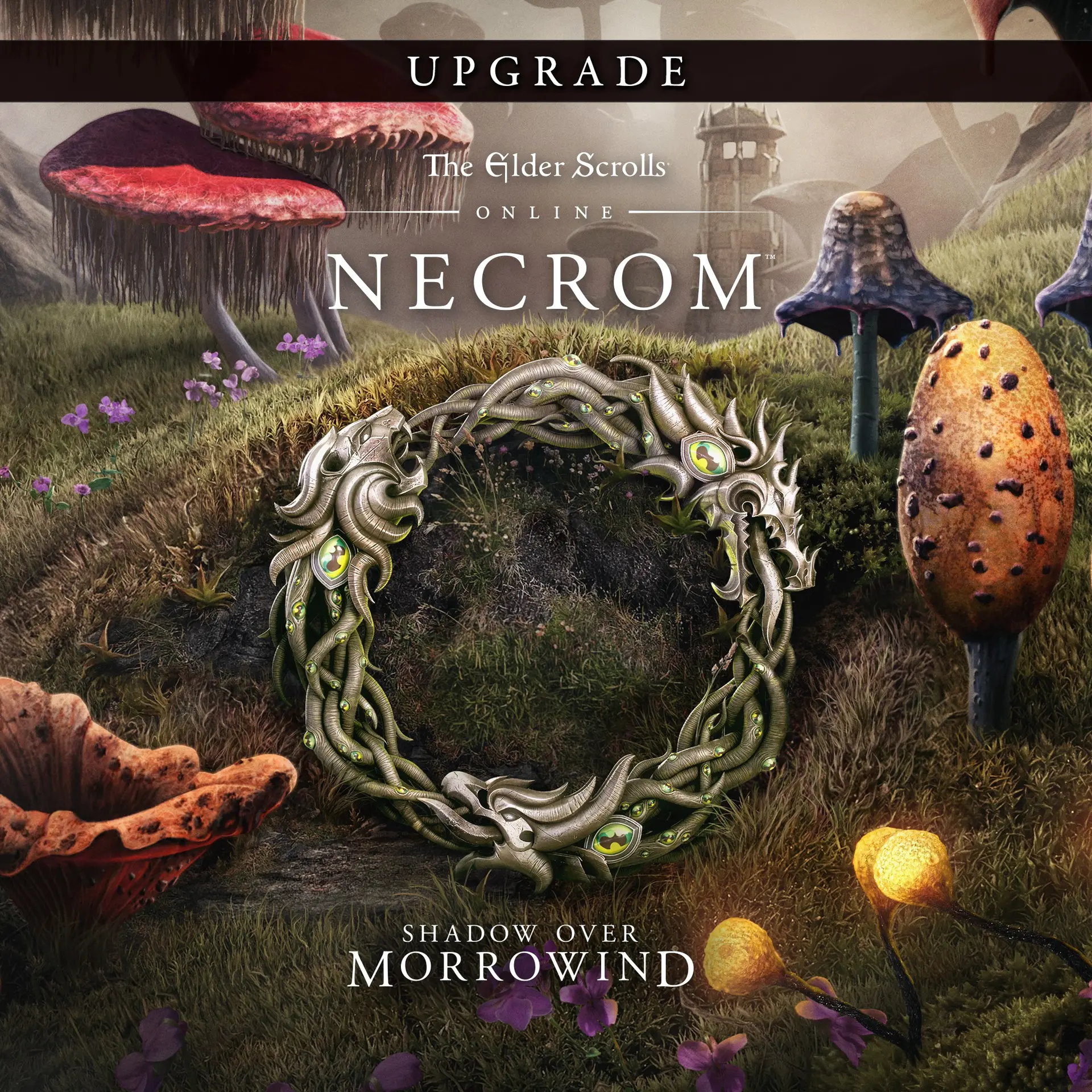 The Elder Scrolls Online Upgrade: Necrom (Xbox Game EU)