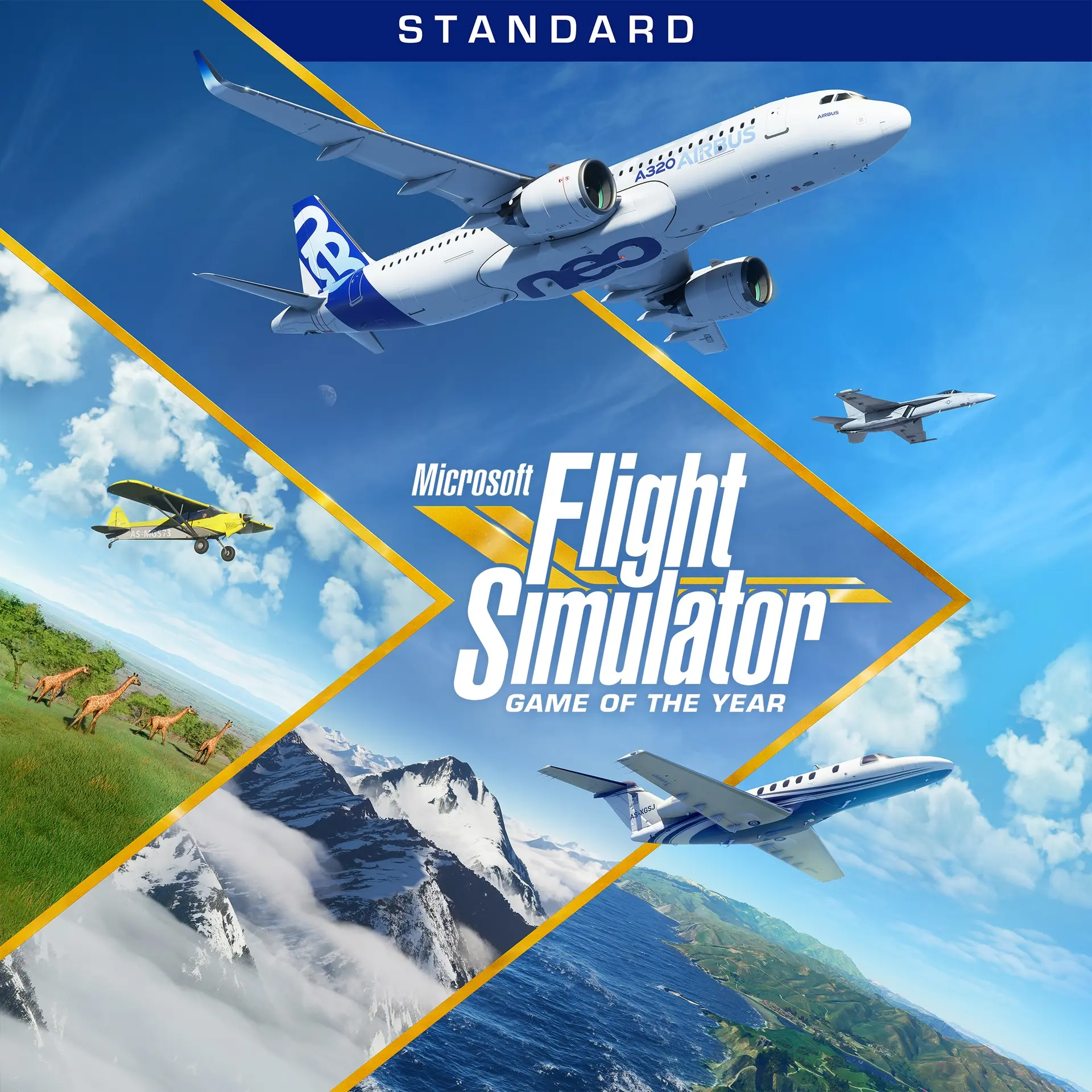 Microsoft Flight Simulator: Standard Game of the Year Edition (Xbox Games UK)