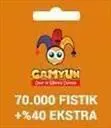 Gamyun V2 FISTIK 60.000 Pistazien %40 Extra Gamyun V2 FISTIK 60.000 Pistazien %40 Extra