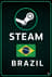 Steam Gift Card Brazil Store