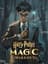 Kaupum Harry Potter: Magic Awakened skartgripi